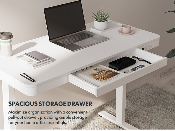 FlexiSpot EW8 Standing Desk Adjustable Height with USB Ports - Side Profile