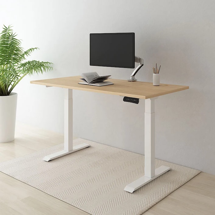 FlexiSpot E6 Essential Bamboo Standing Desk - Top Pick 2025